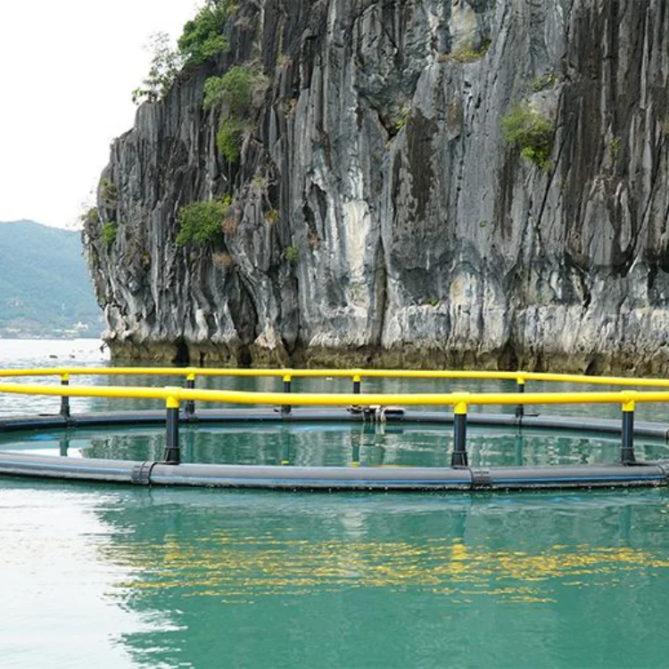 High Quality Custom HDPE Floating round Crab Fishing Cage Secure Aquatic Research Center Net from Vietnamese Manufacturer