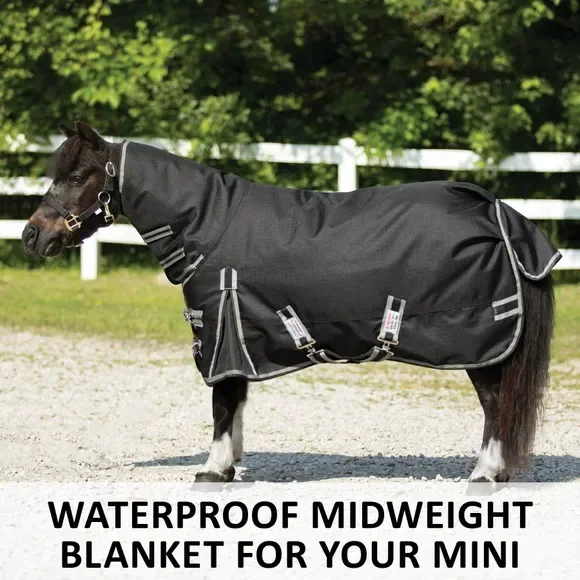 Turnout Blanket Plus Heavyweight Blankets