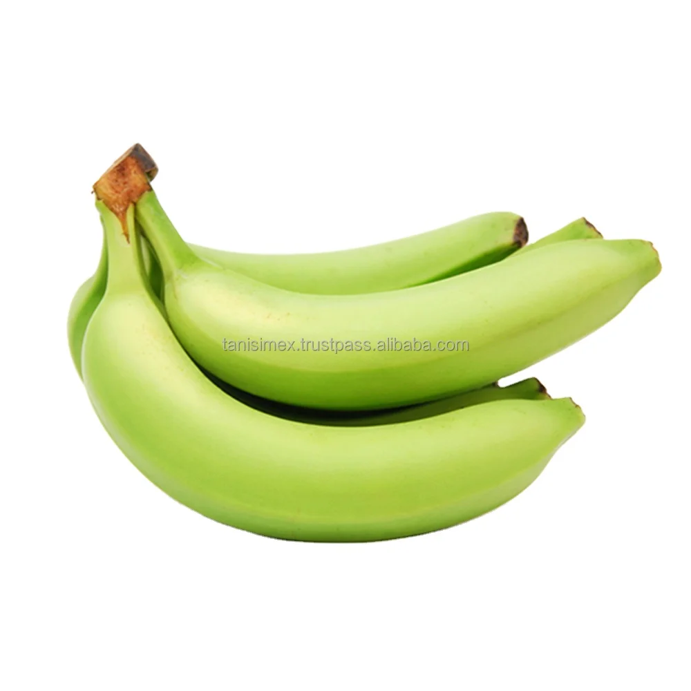 FRESH CAVENDISH BANANA FROM VIETNAM - EXPORT STANDARD