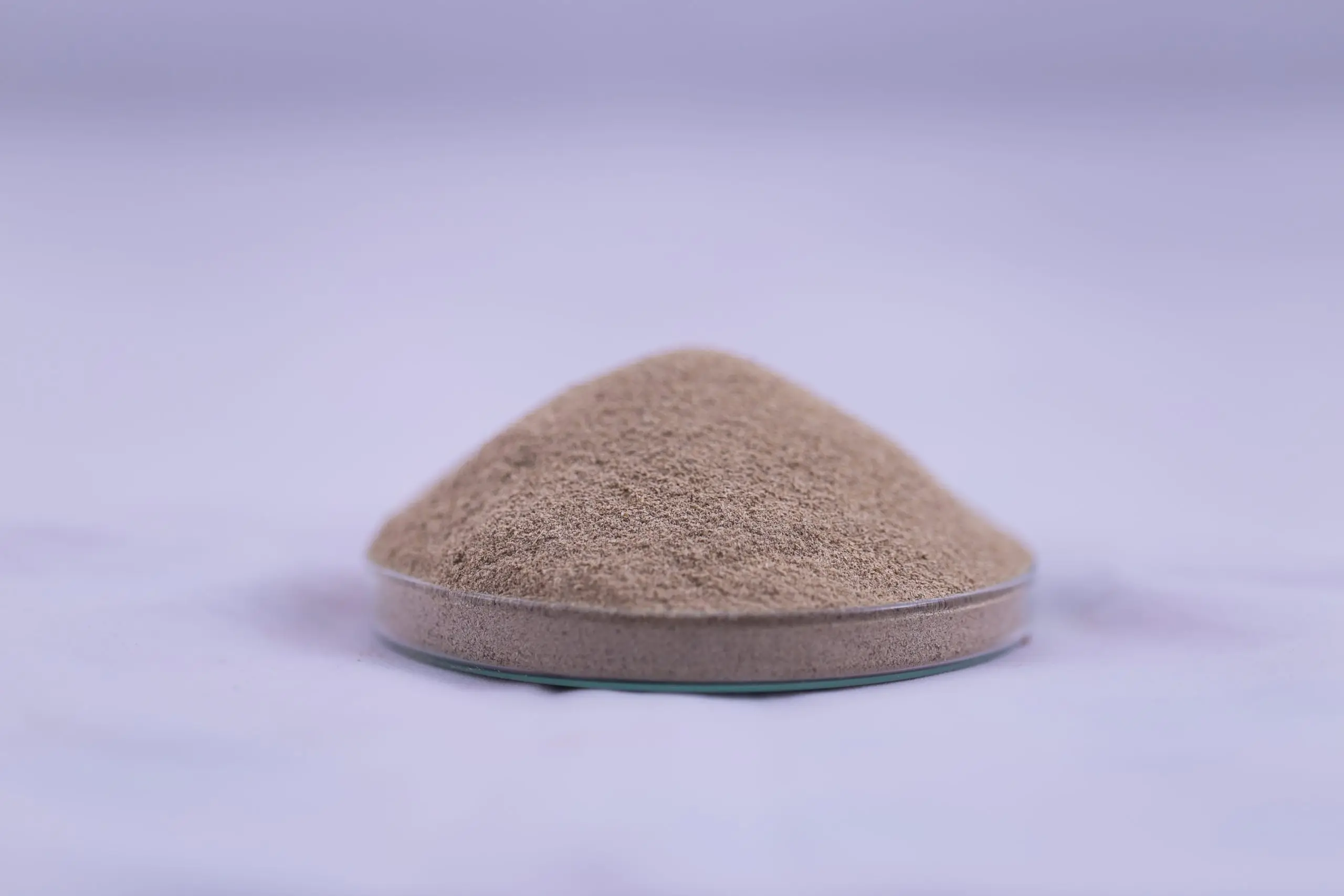 De Oiled Rice Bran - DORB Manufacturer of Bulk Sale High Quality  Animal Feed fish meal bulk supply at low price for wholesalers