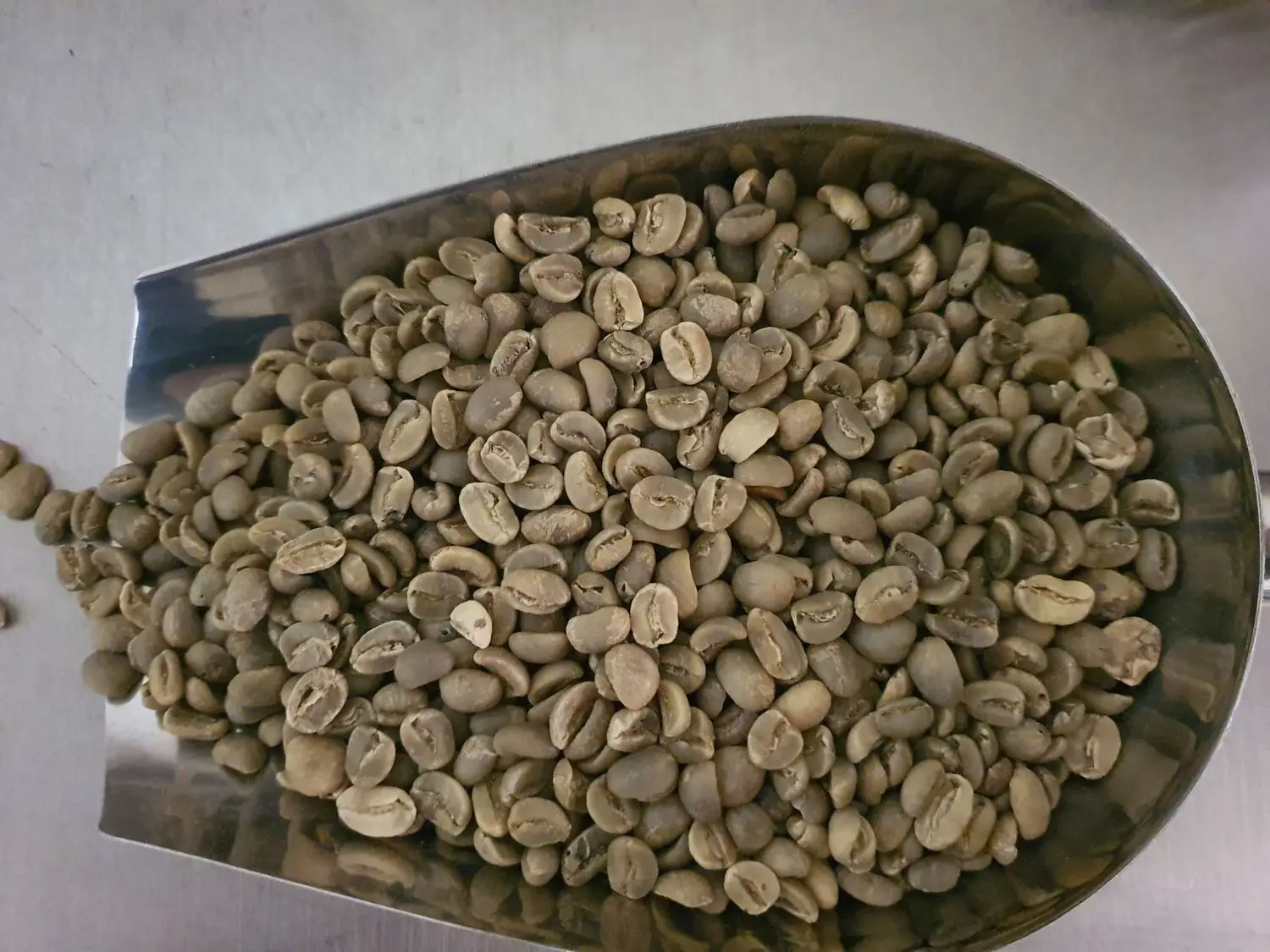 The best coffee beans in the world Arabica Type Viet Nam green coffee beans robusta - weight loss drink