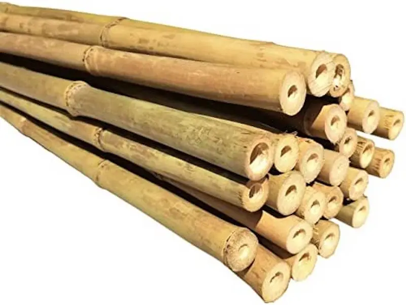 bamboo sticks9.jpeg