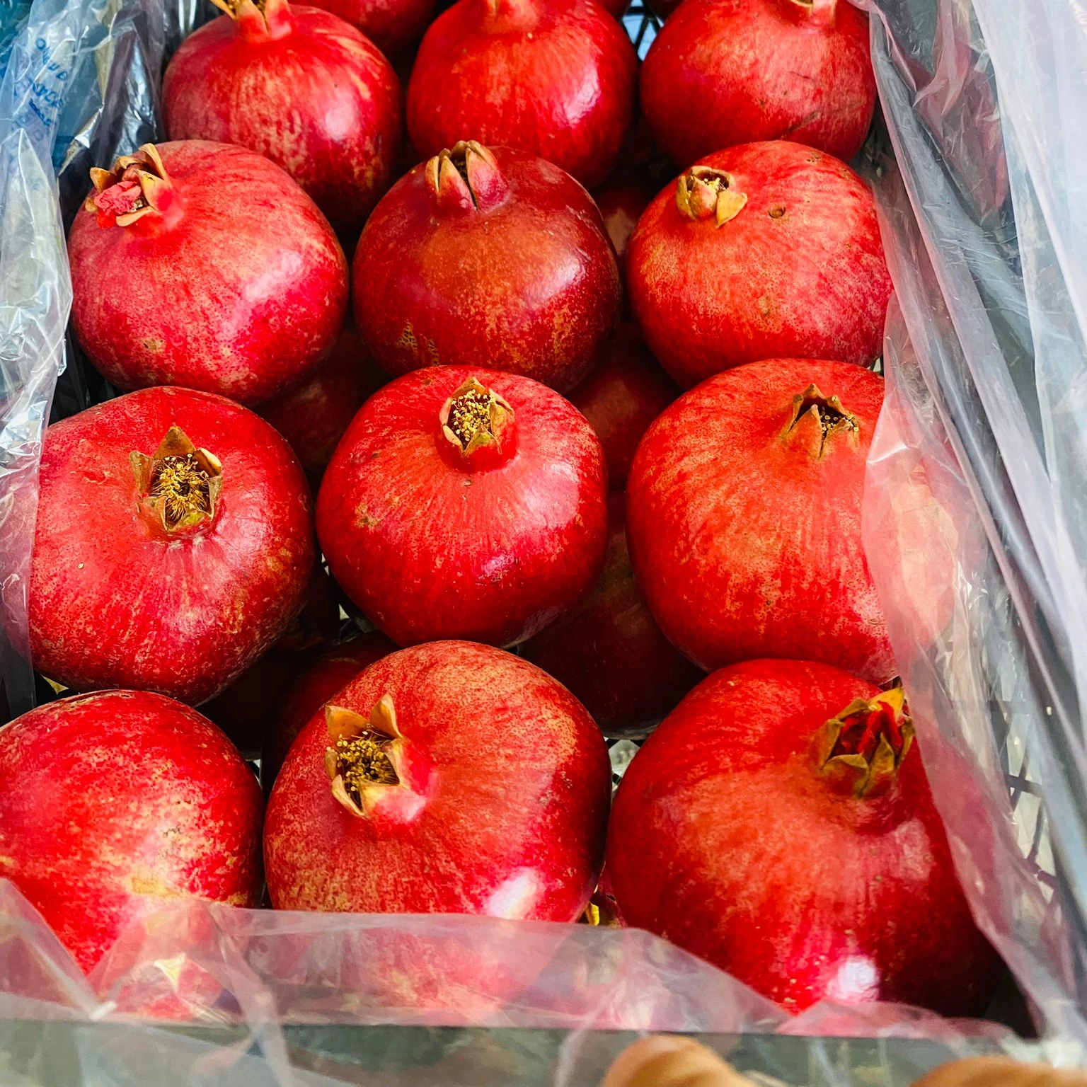 %100 Organic Turkish Made Juicy Natural Pomegranade Best Products in the Market %100 Natural Fresh Fruits