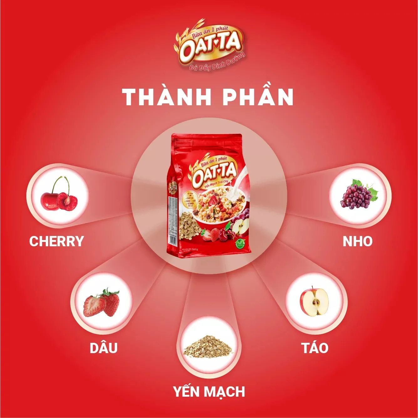 OAT-TA Mixed Dried Fruits and Nuts Granola Healthy Fresh Nutritious Style from Vietnam Factory