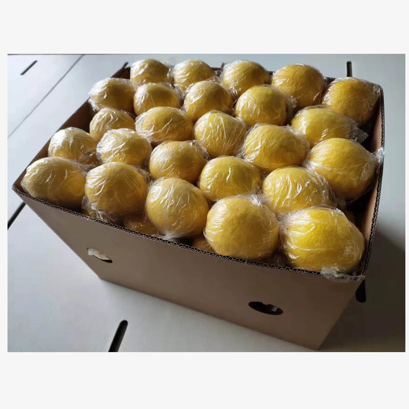 Fresh Lemon Ready for Export From Season  Fresh Lemon Seedless Lemon Fresh Lime Seedless Lime for sale