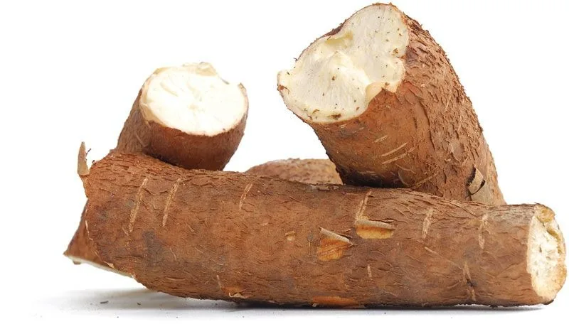 Сушеная маниока из вьетнамской фермы конкурентоспособная цена сельскохозяйственный продукт от компании Dai Trung