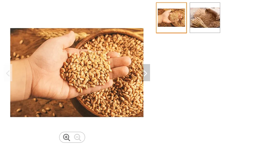 Quality Common Hard Texture Wheat