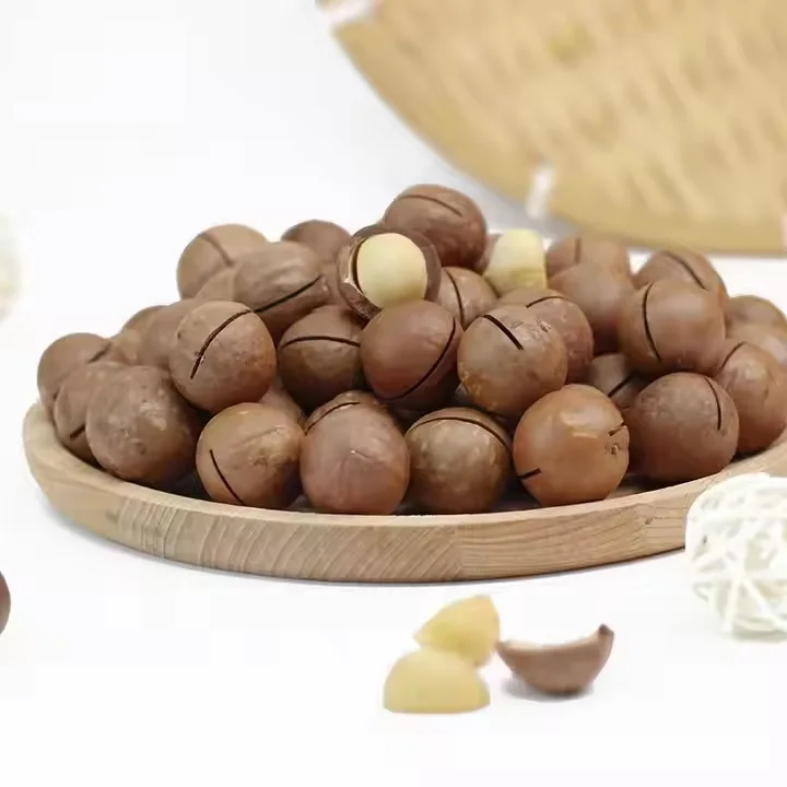 Raw Macadamia nuts wholesale price, Organic Bulk Nuts Macadamia Nuts Wholesales Roasted Macadamia Nuts & Kernels