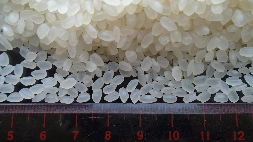 Gold Supplier Cheapest Wholesale 5% Broken Long Grain Rice Japonica Rice