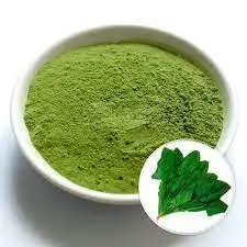 High Purity 100% Organic Pure wholesale Spinach Herbal Extract Whole Spinach Powder 100 g. dietary supplements