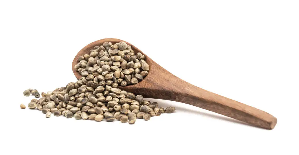 Hemp seeds- (Hemp Seeds for Eating | Salad Topping | Roasted)
