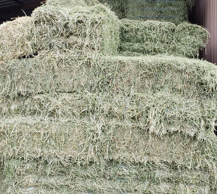 Alfalfa Hay Pellets For Animal Feed For Sale Bulk in the USA