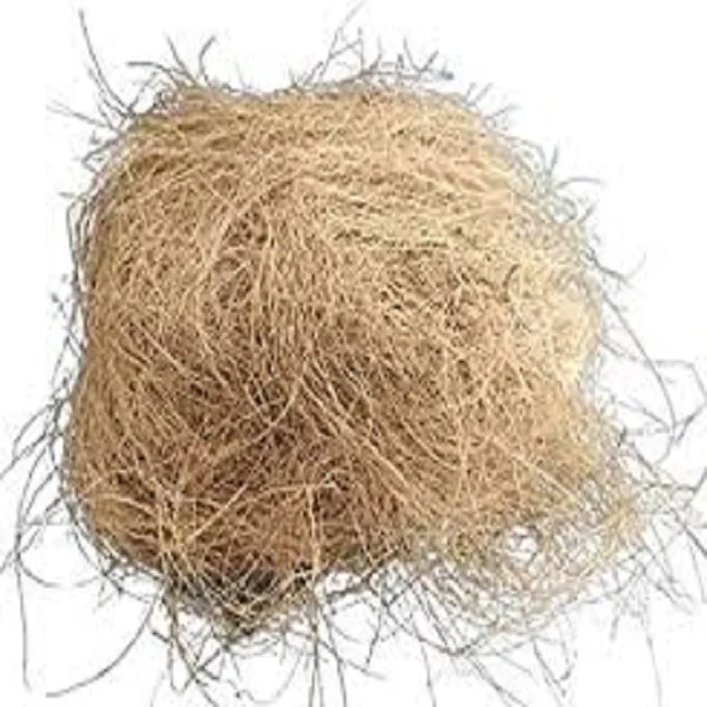High Product Best Quality Hot Selling 100% Organic Coconut Fiber for Export