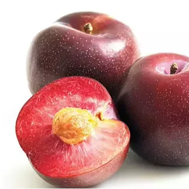 Fresh Harvest Vietnamese Plum Natural Flavor Healthy Exotic Fruit with Exceptional Taste