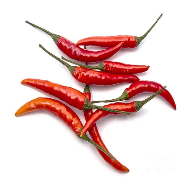 Best Cheap most selling suppliers of dried  red chili pepper from Thailand ISO certified premium quality