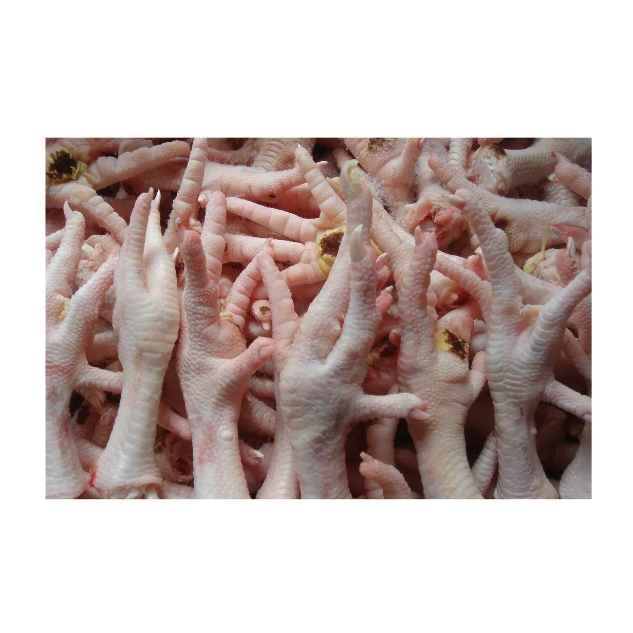 Замороженные куриные лапы, оптовая продажа, высший класс 1, куриные лапы