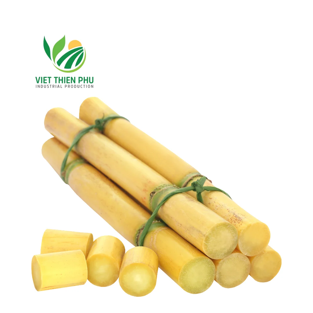 HOT SALE-FROZEN SUGARCANE COMPETITIVE PRICE AND HIGH QUALITY FOR EXPORT FROM VIETNAM GARDENS