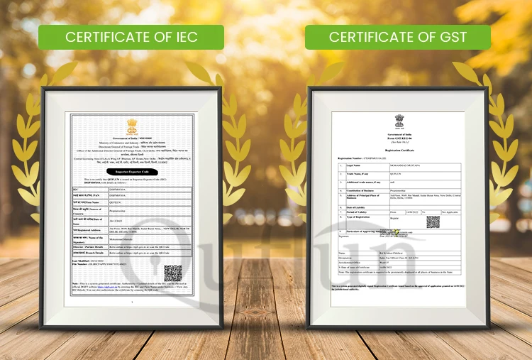 Made In India High Quality Knife Plastic Handle Material Stainless Steel Blade Kitchen Knives for Vegetable and Fruit Cutting