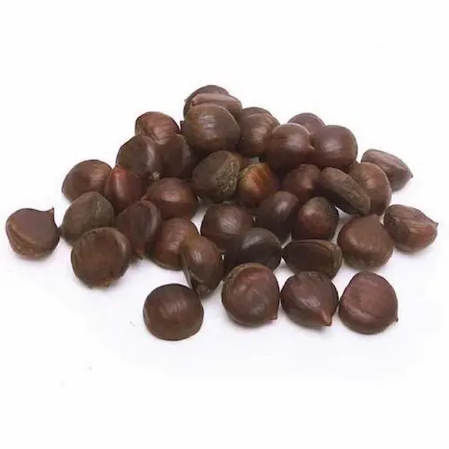 Buy Organic Fresh Chestnuts Online in Europe Cheap Sales