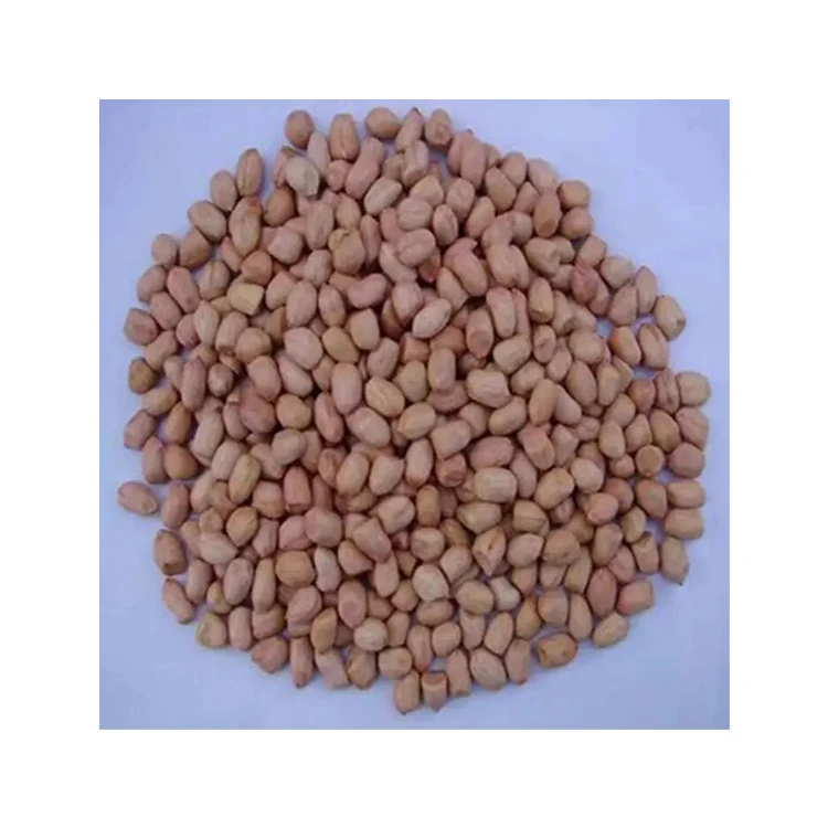 Leading Wholesale Manufacturer Selling Best Quality Naturally Dried Raw Peanuts at Reliable Market Price