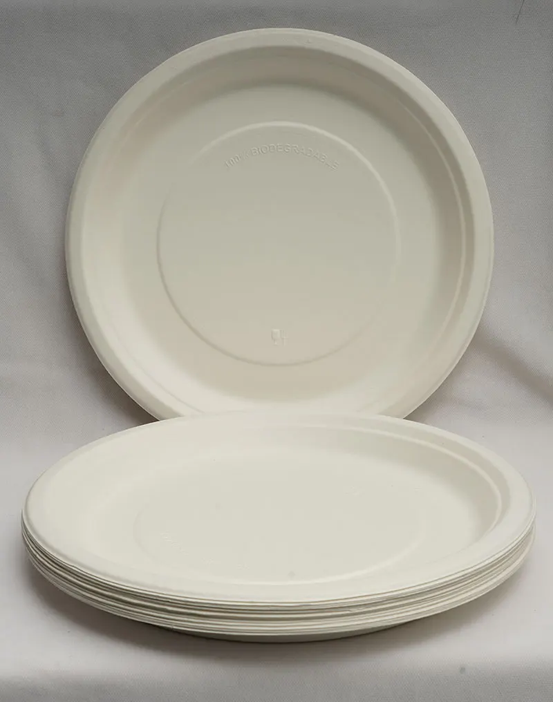 Sugarcane Bagasse 12 inch Plain Standard Round Plate Biodegradable Disposable Round Paper Plates Snack Dishes and Fruit Plates