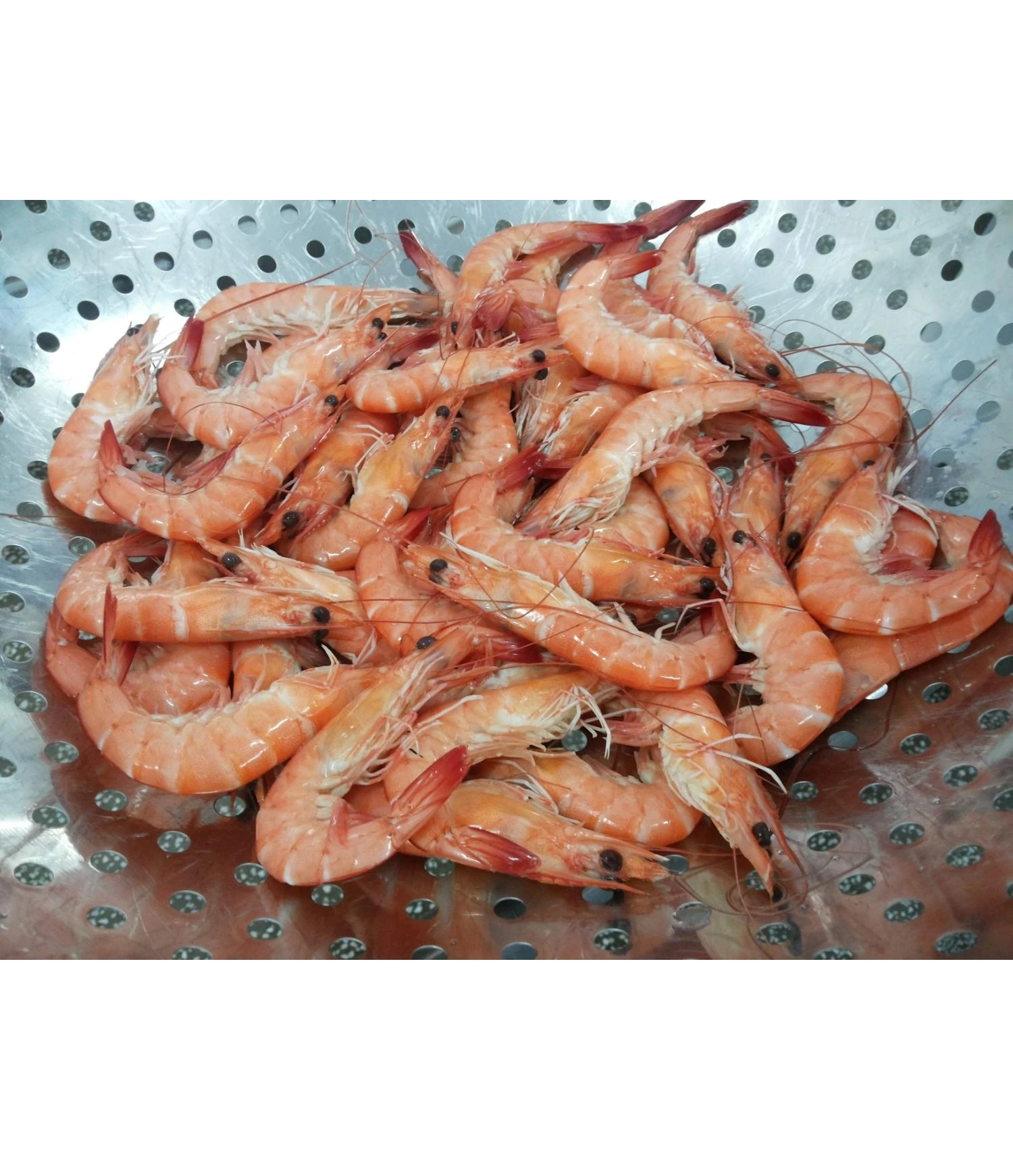 Vannamei Shrimp HOSO Cooked IQF from Vietnam New Product Seafood Frozen Cooked Peeled Prestigious Manufacture