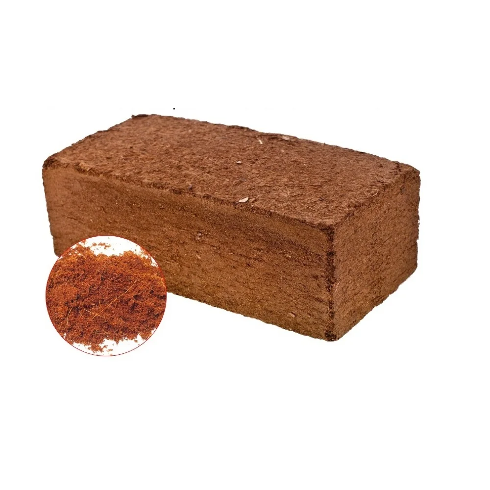Lowest Price Coconut peat Premium Quality Bulk Quantity For Exports From Europe