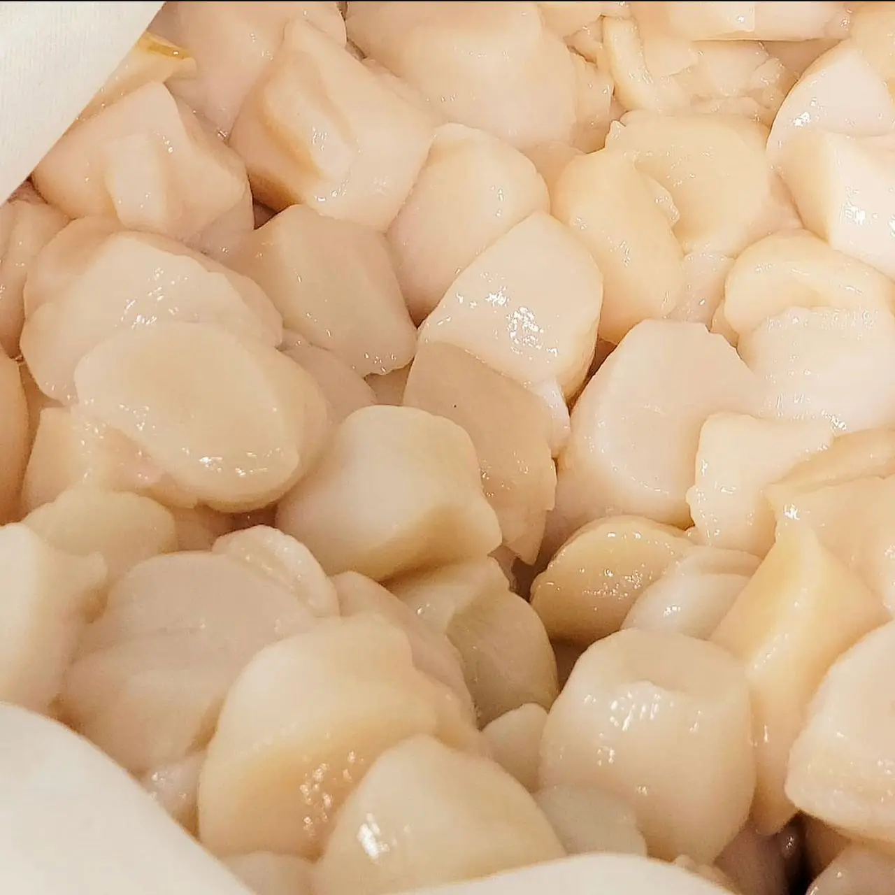 Affordable Popular shellfish export manufacturers frozen Japanese sea scallop