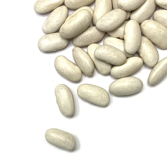 Pure White Kidney Beans 190/200 Sizes High Quality Pure White Kidney Bean Bags