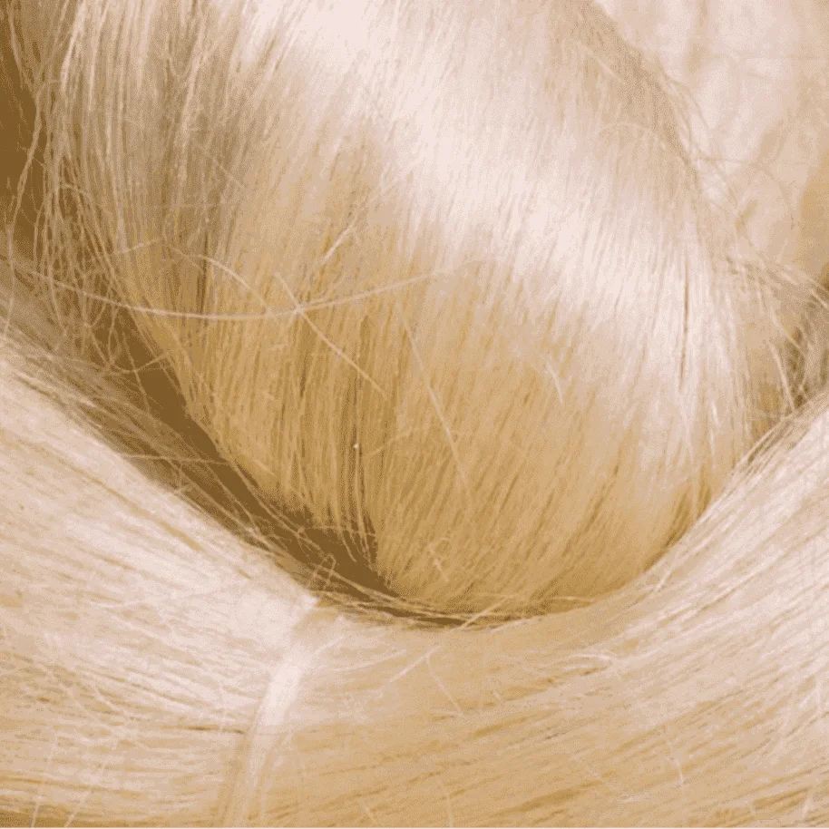 Natural Raw Sisal Fiber/UG Sisal Fibre /Bleaching Sisal Fiber for Gypsum