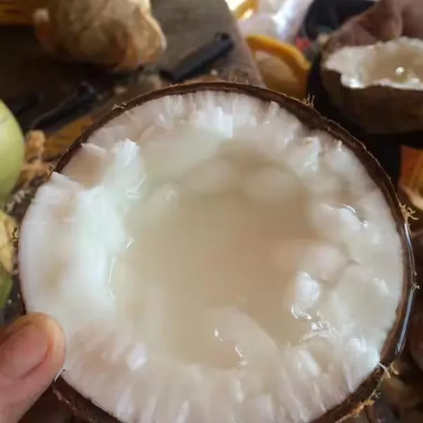 PURE HIGH QUALITY FRESH COCONUT MACAPUNO COCONUT ORGANIC MACAPUNO FRESH USE TO DESSERT