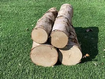 Timber LOGS.0030.jpg