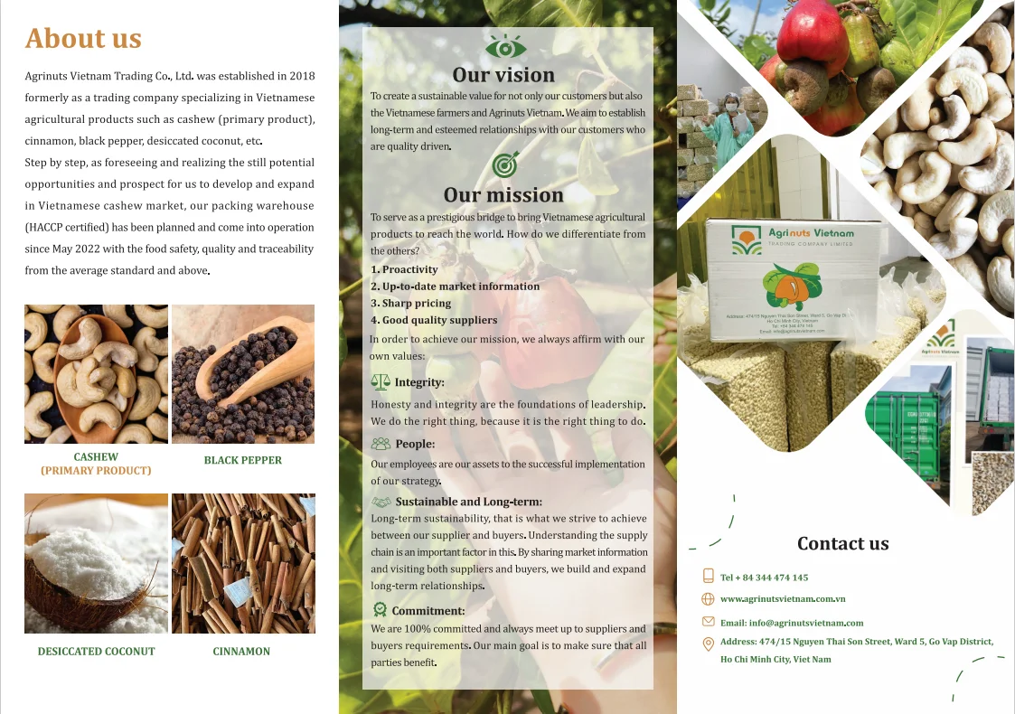 Origin Vietnam Cashew nuts White splits WS high quality best price vacuum bag From Manufacture 84 915600321