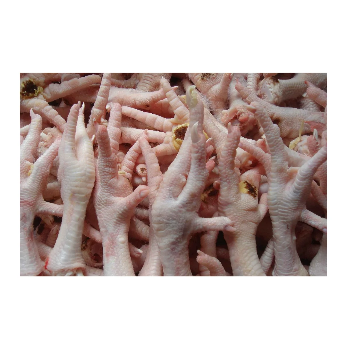 Europe Grade Brazil frozen chicken feet USA frozen chicken feet suppliers buy frozen chicken feet