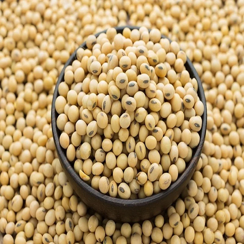 Высокое качество NON-GMO соевые бобы 100% органические по оптовой цене