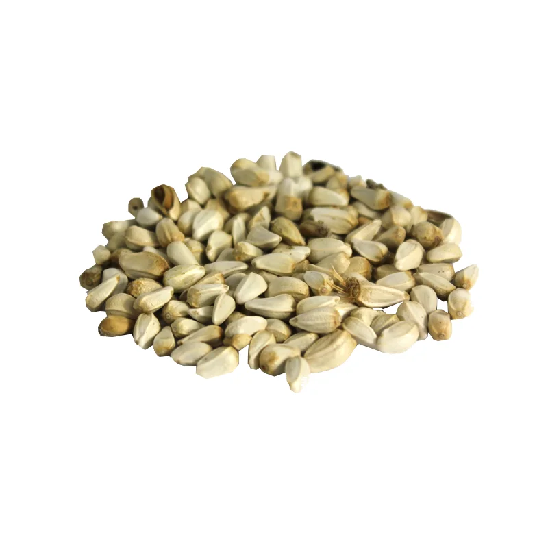 satflower seed for sale