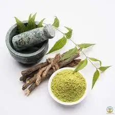 Wholesale Azadirachta Indica Natural Azadirachta Indica Powder/Azadirachta indica extract powder Azadirachtin 40%