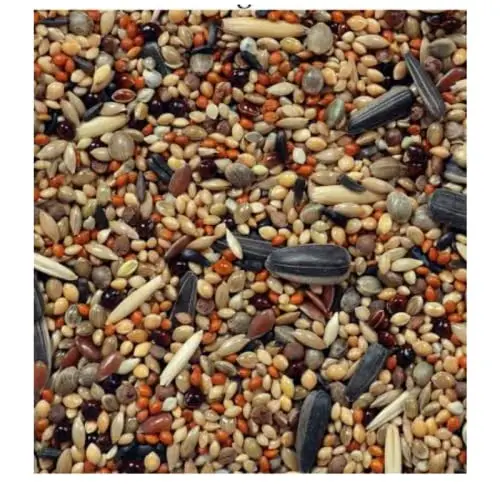 Healthy Natural Dried Bird Food Pure Organic Quality African Love Bird Mix at Bulk Selling Price