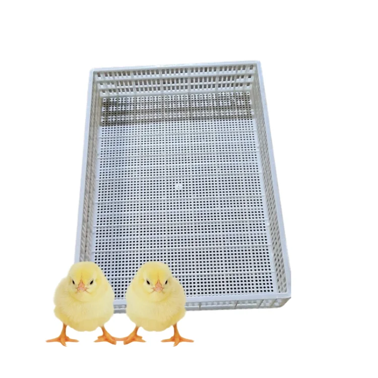 Poultry Plastic Slat Floor High Quality New Design for Chicken Poultry Equipment Customization Vietnam Manufacturer