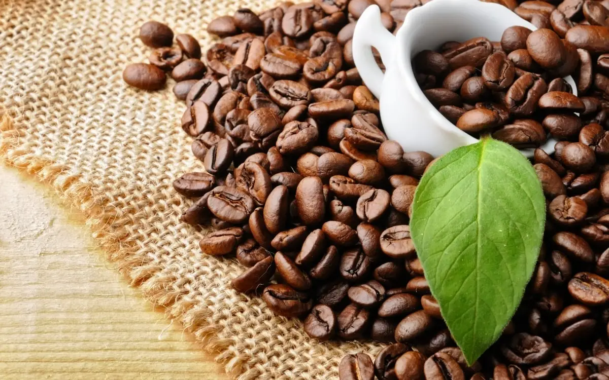 Arabica Coffee from Vietnam Manufacturers High Quality Premium