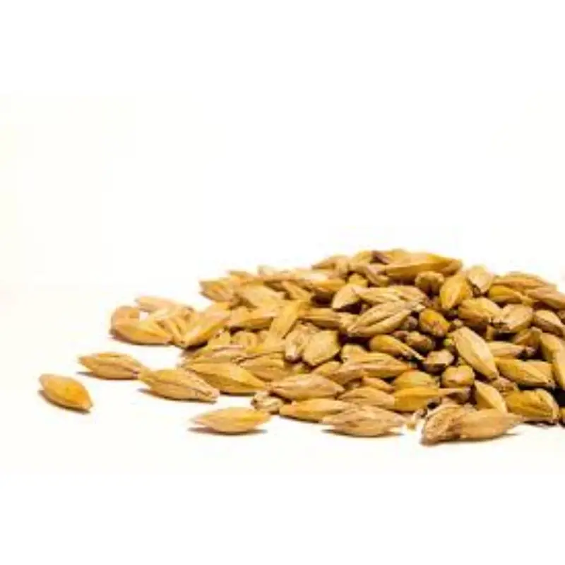 Лучшая рожь для