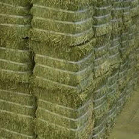 Bales-for-sale.jpg