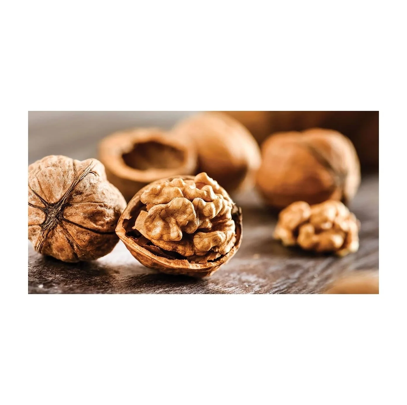 Best Quality Raw Dried Walnut Kernel Fresh Stock Bulk Wholesale Exports