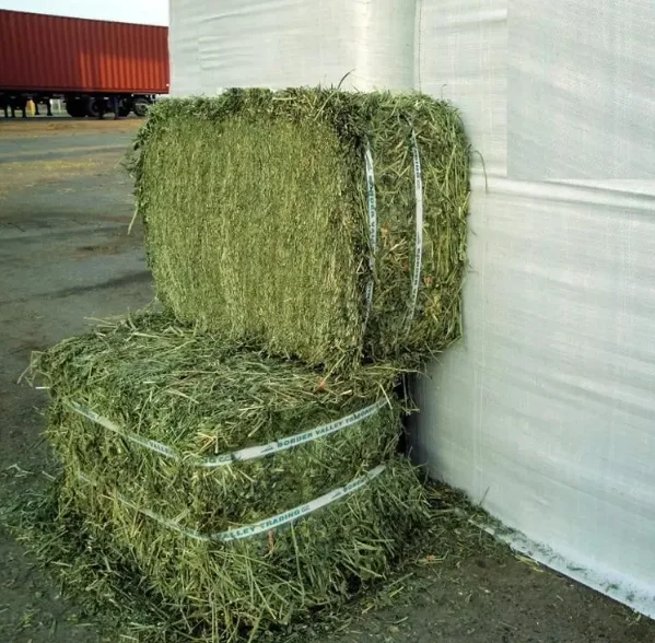 Alfalfa Hay at very cheap price / Quality Rhodes Grass Hay Alfalfa For sale