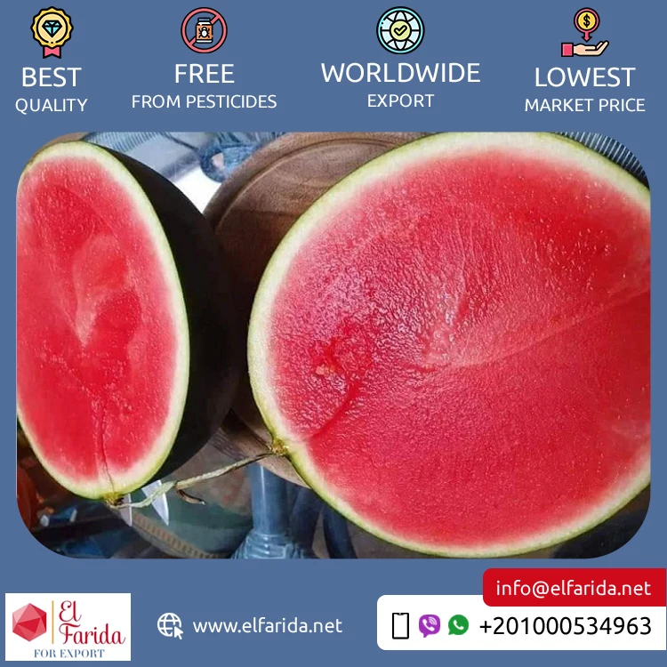 Excellent Quality Top Selling 100% Natural Delicious Original Taste Seeds/ Seedless Watermelon for Wholesale Buyers