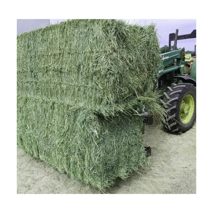 Alfafa Hay Dried Timothy Grass and Rhodes Grass Hay for Animal Feeding Baled Pig Cattle Horse Feed Various Styles Available