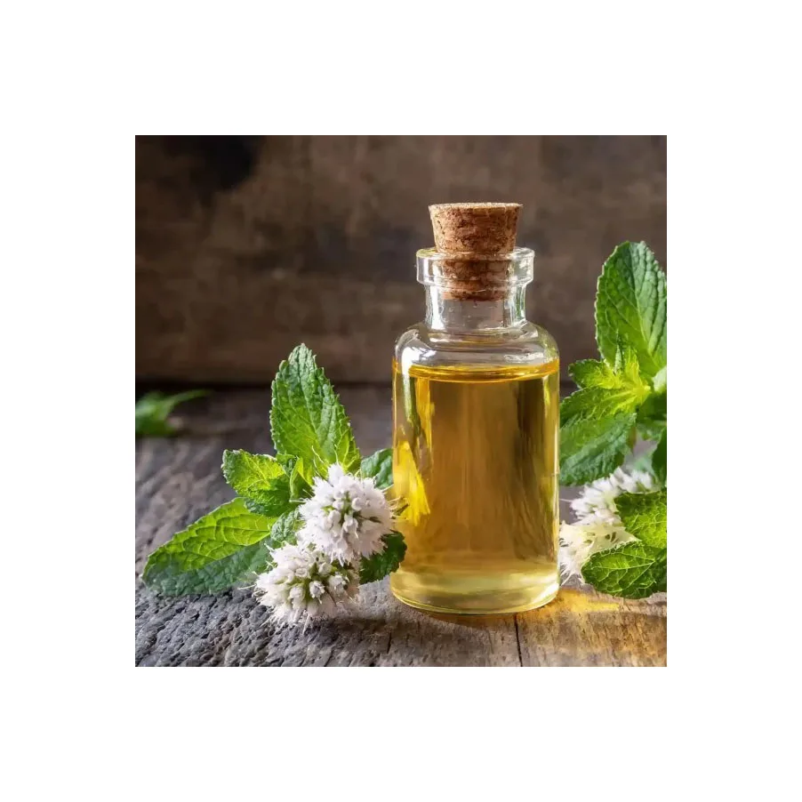 Pure and Natural Cold Pressed Organic Peppermint Seed Oil Wholesale Bulk Price Base Oil