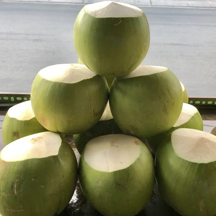 Low Price Young Coconut Pulp and Shell Part Hat Cut Shape Coconut Fresh Young Coconut Without Top Cover Exporter from Vietnam