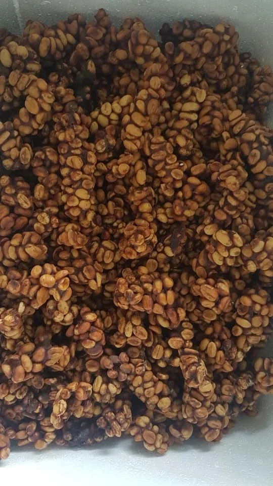 Best Quality Roasted WEASEL/ CIVET Arabica Coffee Bean Vietnam Origin Good Price Arabica Coffee for Wholesale Worldwide Shipping