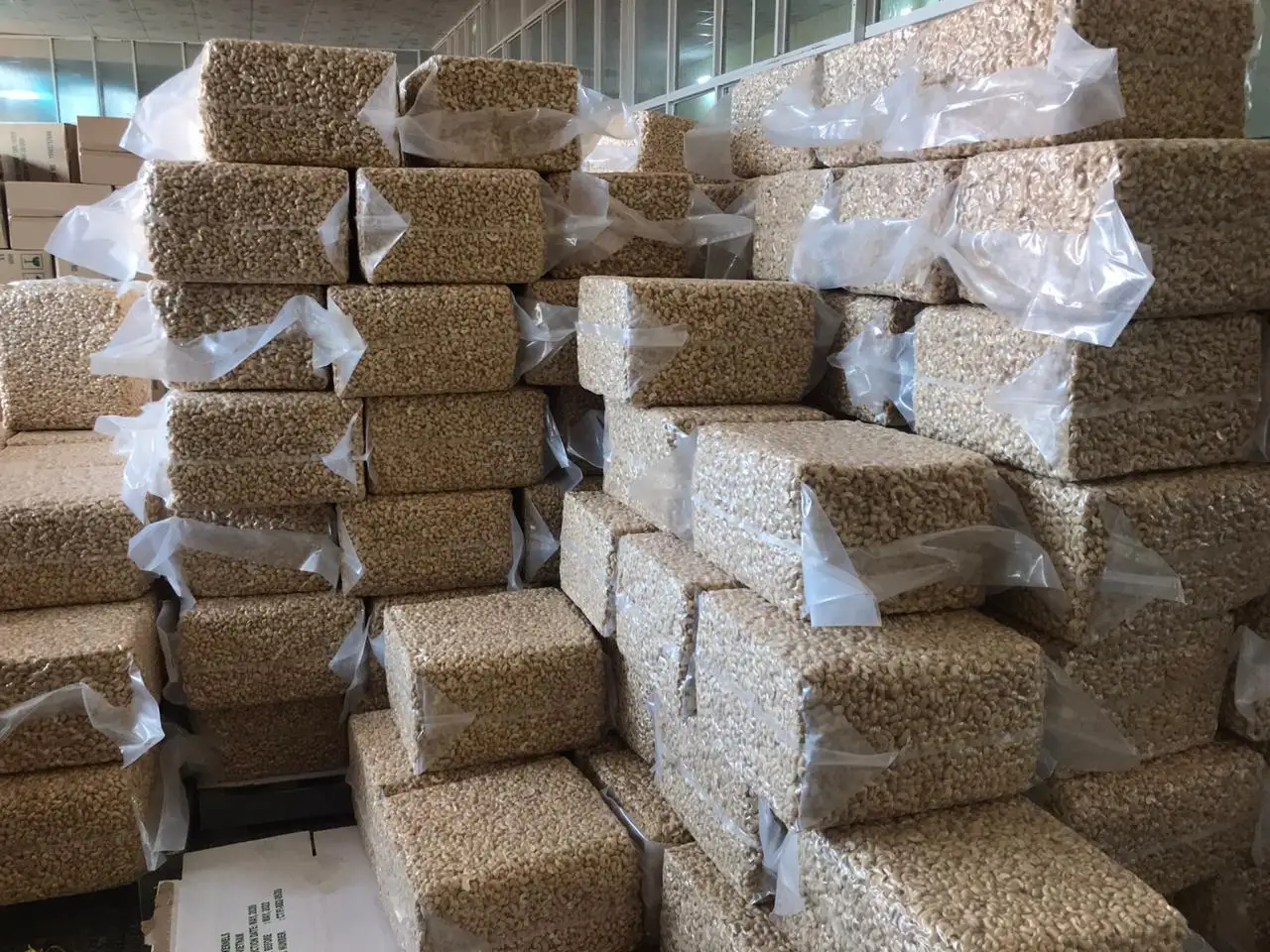 Vietnam Cashew Nuts 2022 W450 Best Seller Product Kernels From